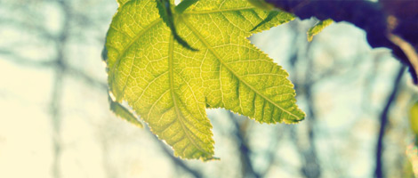 短信测压准确吗