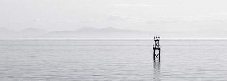 打爆别人短信的软件